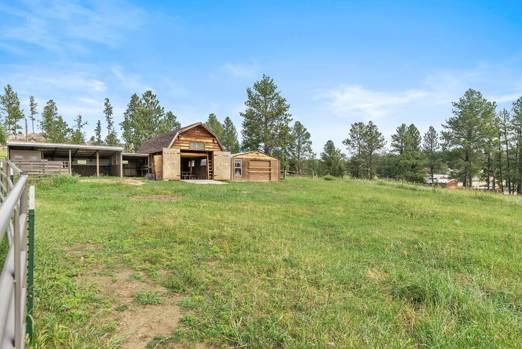 Papa'S Place On Willow Creek Custer Dış mekan fotoğraf