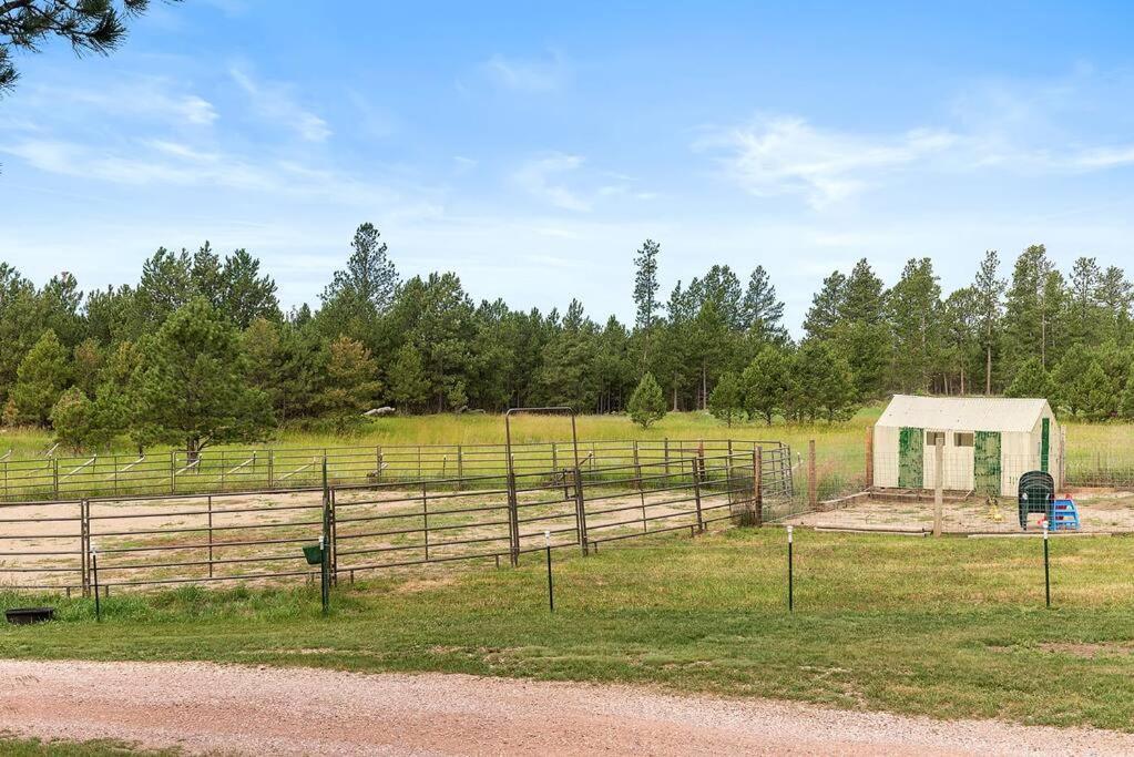 Papa'S Place On Willow Creek Custer Dış mekan fotoğraf
