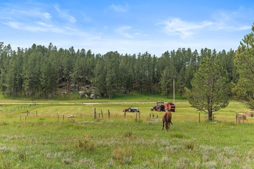 Papa'S Place On Willow Creek Custer Dış mekan fotoğraf